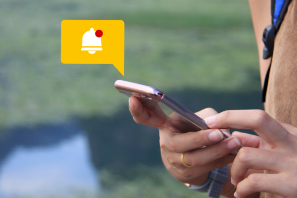 Streamlining Appointments: The Impact of Automated Reminders